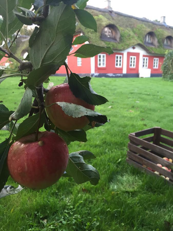 Bed and Breakfast Alsbrogaard Bramming Экстерьер фото