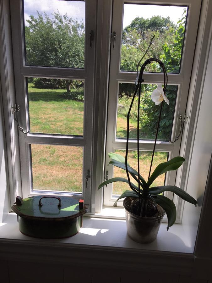 Bed and Breakfast Alsbrogaard Bramming Экстерьер фото